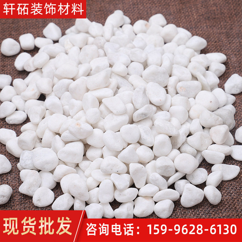 鹅卵石雪花白盆栽多肉铺面小石子庭院装饰园林造景砂石天然石石头