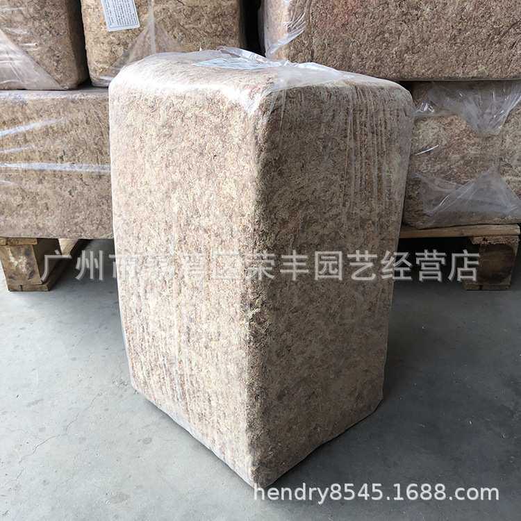 智利5星红草 干水苔 干苔藓 水草 爬虫 兰花 微景观 食虫植物用