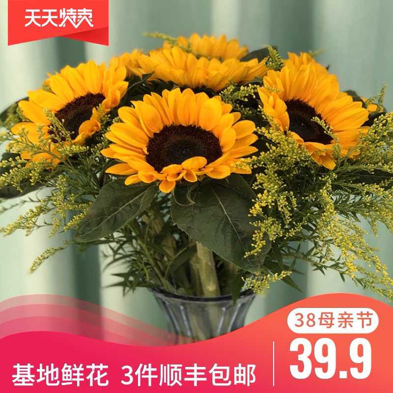 向日葵云南鲜花基地昆明斗南直发批家用向阳花混搭教师节礼品花束