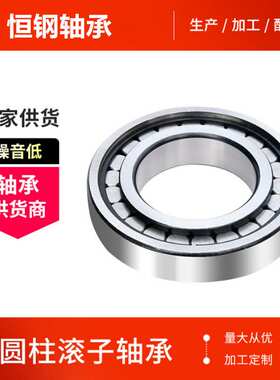 密封双列满装圆柱滚子轴承SL04  5006PP  NNF5006ADA-2LSV