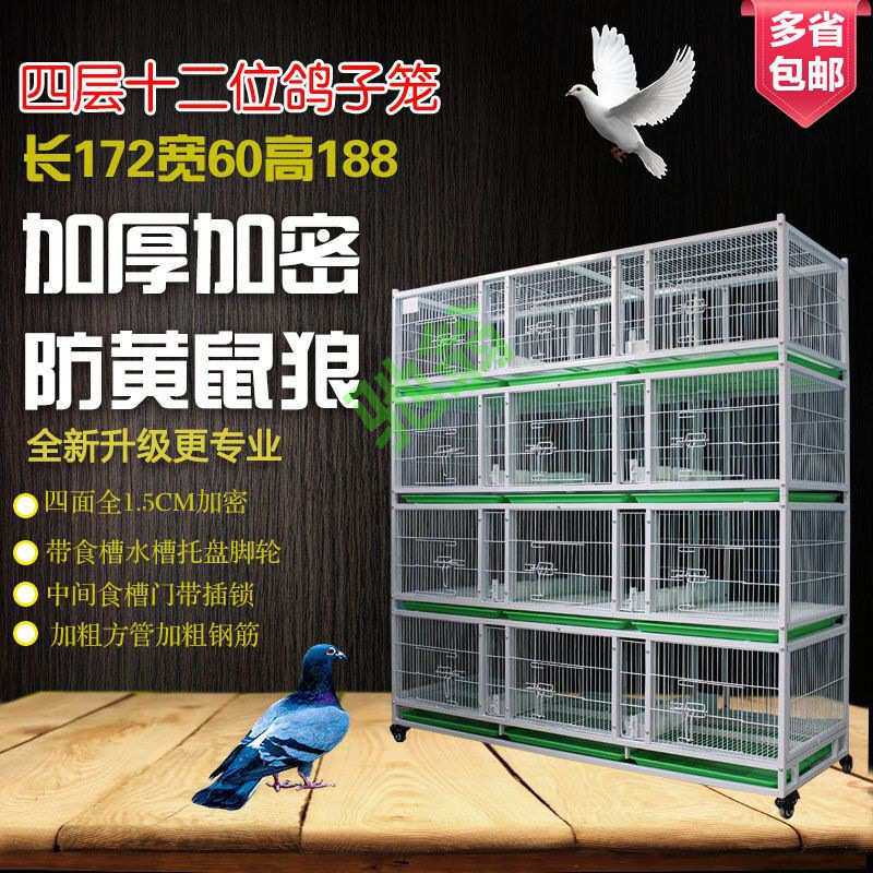 yut四层鸽子笼鸽子配对笼铁笼多层鸽笼公棚观察笼加厚加密鸽子饲
