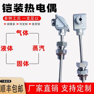 WREK-381铠装热电偶 温度探头传感器 双支 WREK2-331铠装热电偶