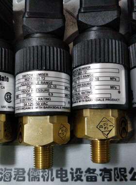 巴士德Barksdale压力开关 CP38-001