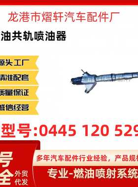 0445120529共轨喷油器电喷喷油嘴0445120529适用玉柴