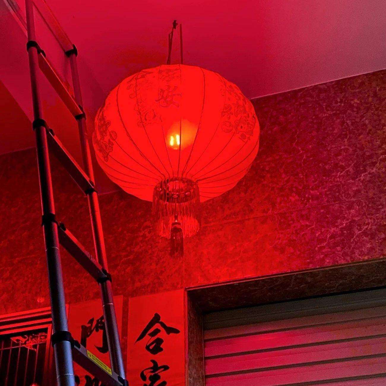 新年灯笼长杆灯笼春节乔迁植绒大大门阳台灯笼灯笼红灯笼结婚