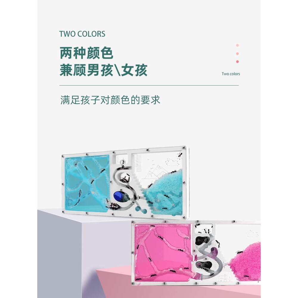 学生学校蚂蚁工坊 城堡 幼儿园儿童宠物家园科教学蚁巢观察生态箱