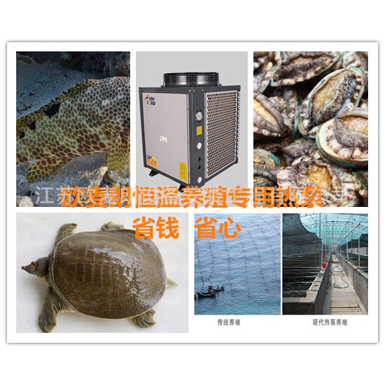 徐州工厂化恒温养殖鳙鱼鱼苗空气能热水器空气源恒温热泵机组