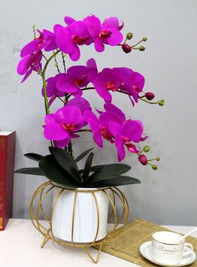 花PTY手感PU电蝴蝶兰铁架花瓶客厅视柜摆件餐花桌花茶几玄假关花