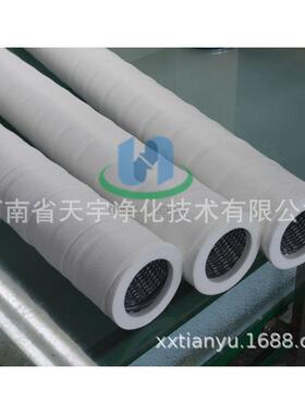 河L天宇净化C聚结LCS2PXSH脱水南滤油机滤芯S2PXSH