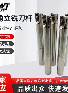 直角方肩立铣刀杆 EXP06-26-200-C25 CNC快进给EXP数控刀杆