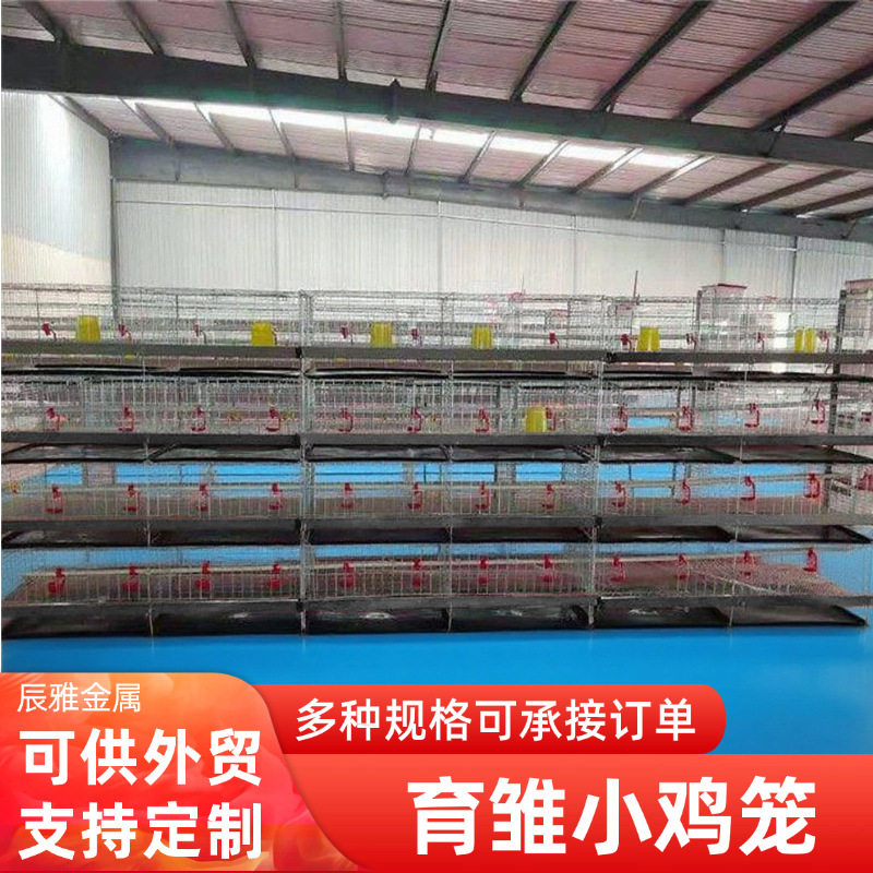 立式育雏小鸡笼四层两门小鸡笼具冷镀锌养殖设备鸡舍养小鸡笼子