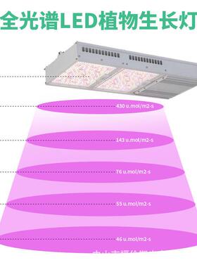 800W灯800W透镜大功率植物灯E生长大棚室D内专业种植物补光灯1L93