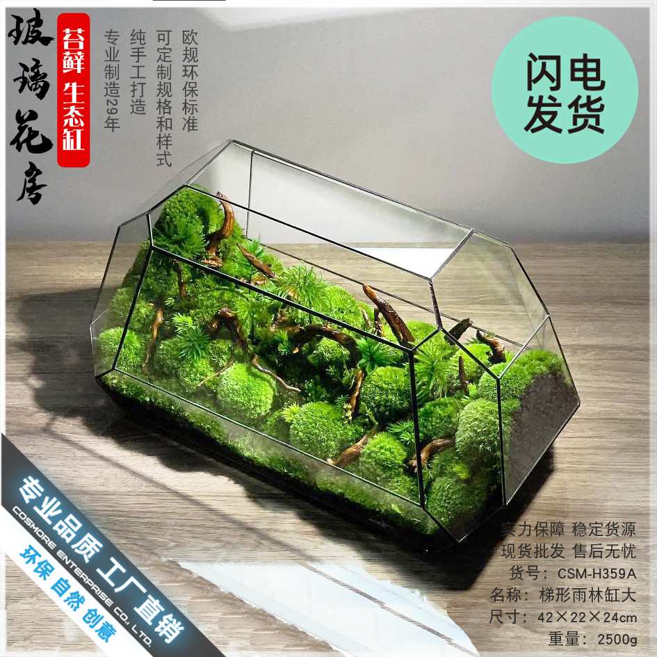 鱼缸桌面苔藓微景观水陆爬宠生态缸玻璃饲养箱角蛙水龟雨林缸造景