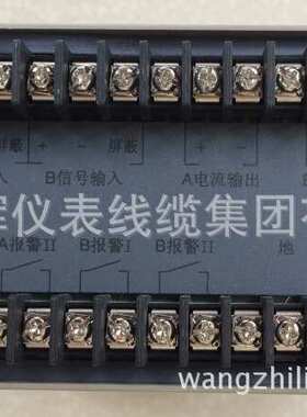 DYZ-W、DYZ-L型振动烈度监控仪轴瓦振动监测仪