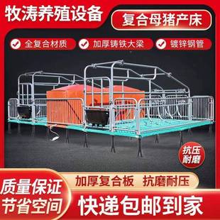 猪用产床床猪产床两WJZ用产猪床体双体产复合板母一定位栏仔猪保