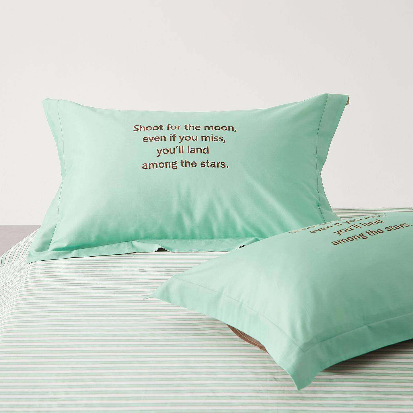 芯新款贡缎绒棉单枕棉套一对装INX纯韩式小清新风全棉枕头套长枕