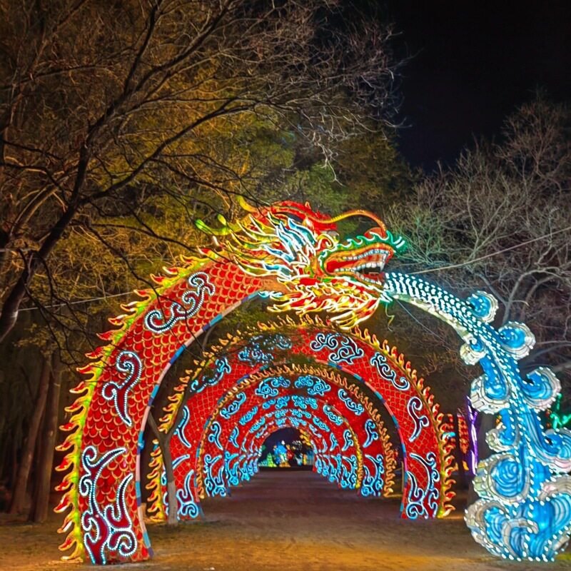 龙形拱门彩灯景观灯市政亮化