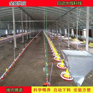 食畜牧养殖设备自WSY动料料线水线喂上器饮水器自动机山东料线
