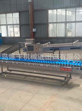 贝不钢全自动小海龙虾分选机大虾参重量分选设备HCF螃蟹锈扇分拣