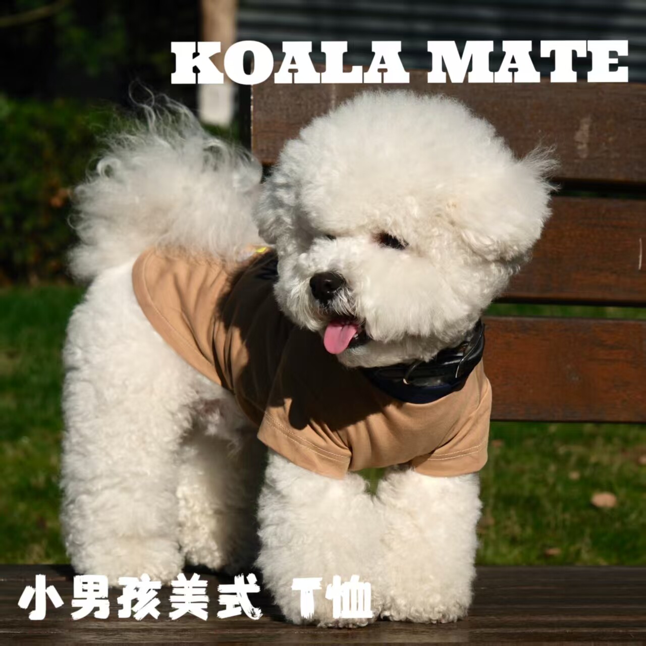 koalamate考拉伙伴宠物服饰狗狗夏天衣服薄款猫咪衣服男孩美式T恤图片