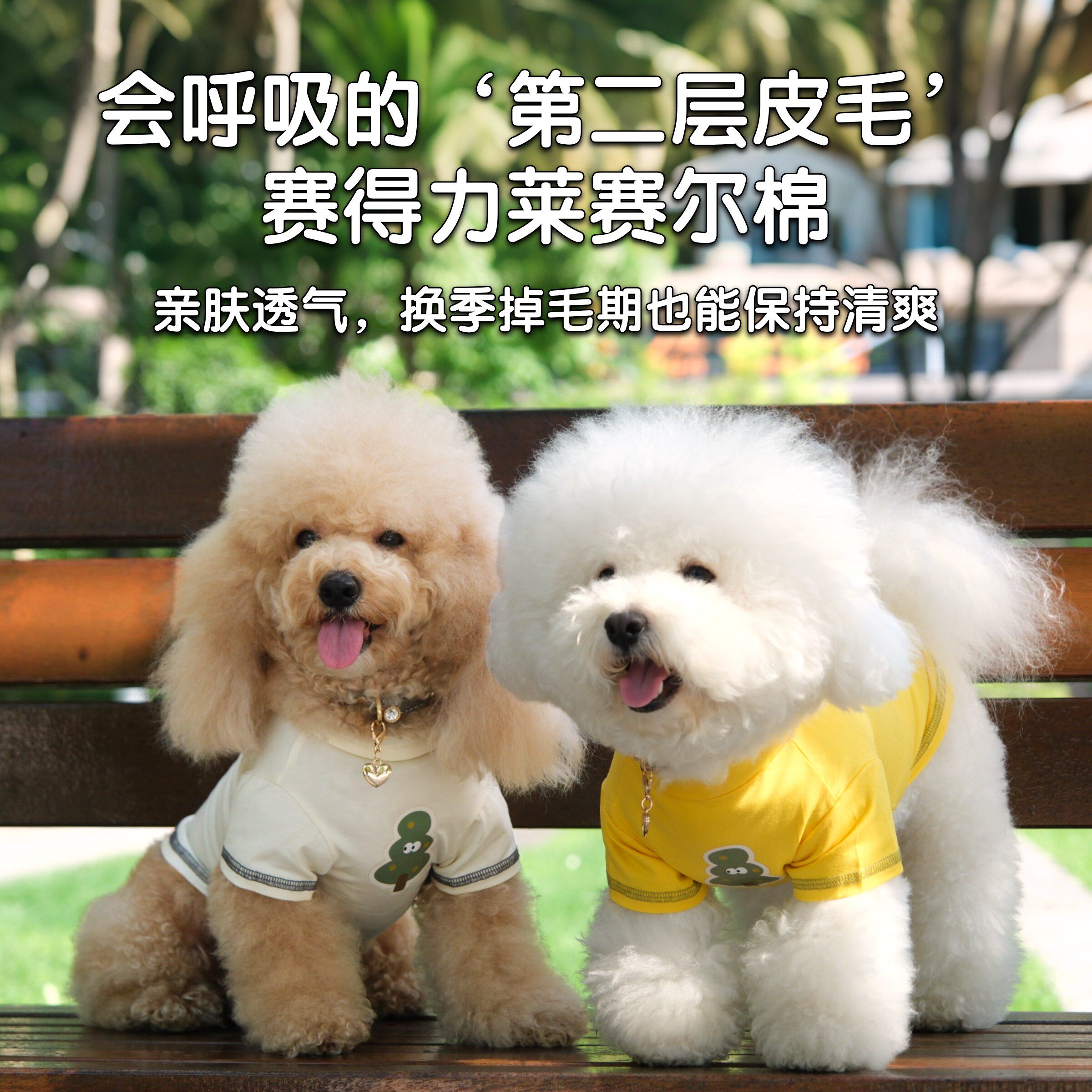 koalamate考拉伙伴宠物狗狗猫咪衣服夏季卡通小树T恤裙子