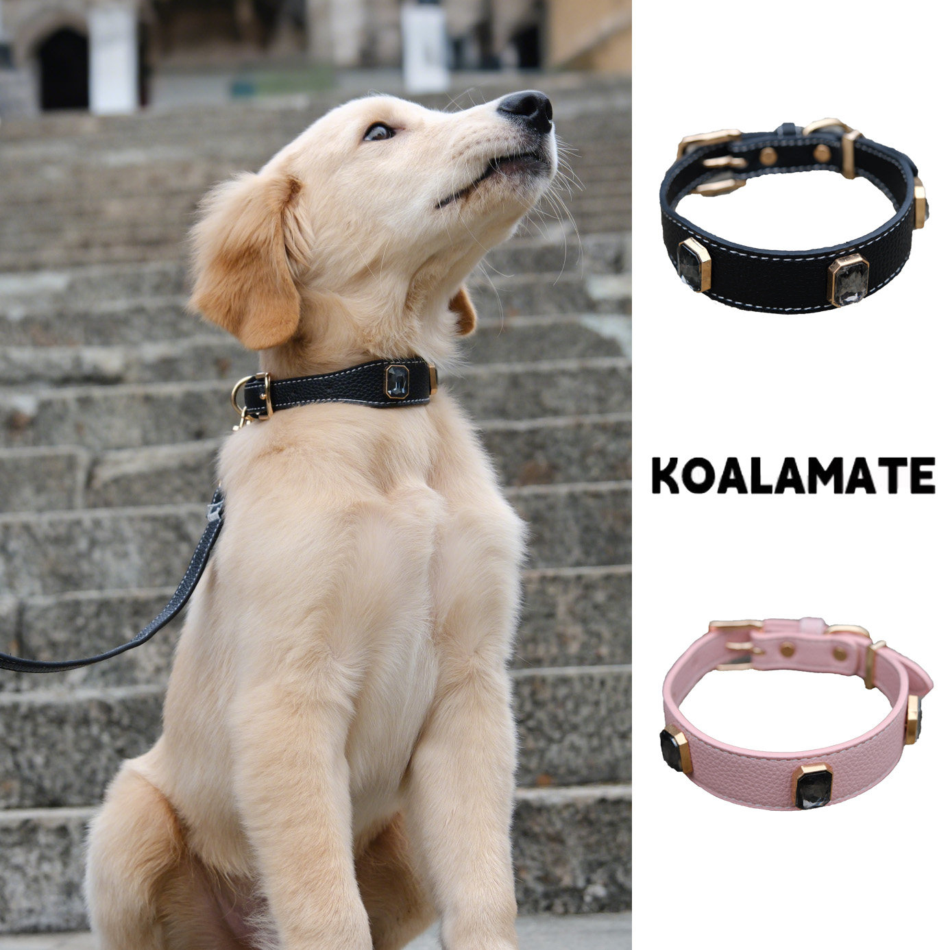 koalamate考拉伙伴宠物项圈小中型犬牵引绳遛狗绳超纤荔枝纹水钻