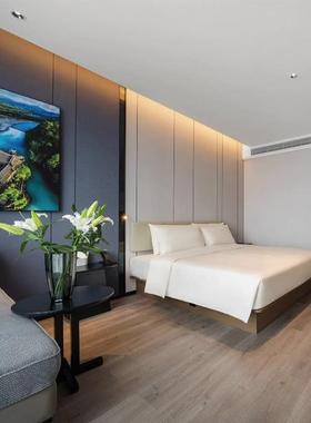 亚间全朵3家.5酒店宾馆专用床箱具标套民87422宿样样板间