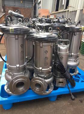 5W5Q0P15-12-无品牌/1.锈钢不潜水排污泵