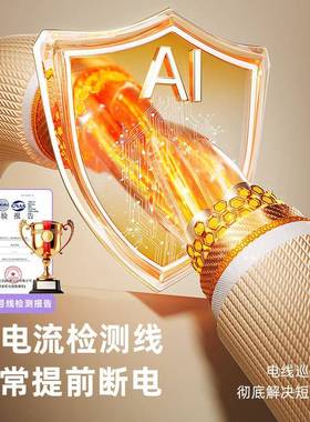 三春202865新2款电安热毯双人双控家用全电褥子学单生宿舍用工厂