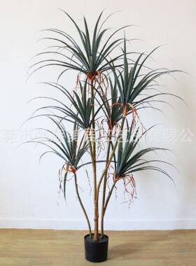 仿植千年龙铁树盆栽物室内造景真装饰摆放杆龙血81818树盆景假多