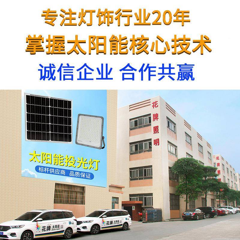 花牌LE太阳能S01I投灯户外防水透镜光泛光灯家用庭院D灯直销