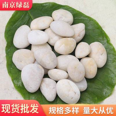白色鹅卵石园观抛光雨花石头鱼缸装饰水林池垫景底小BCN石子
