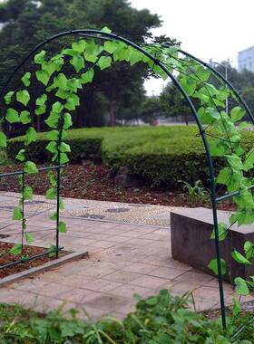 钢大棚骨架花架暖AXN房温室果花房架子花园院蔷管薇百香葡庭萄爬