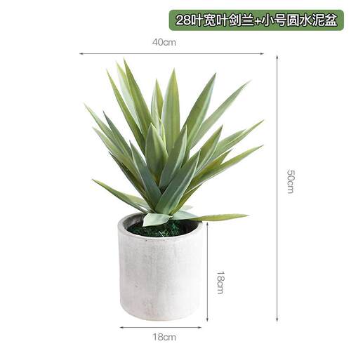 仿真红叶龙舌剑兰热带沙雨漠绿植物剑麻林装饰KjPcbm8j橱窗造景落