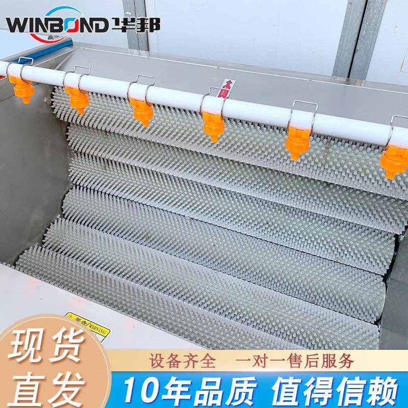 海蛎锈子清洗清不钢毛56刷清洗机洗血蚌螃蟹机小龙虾清洗设备
