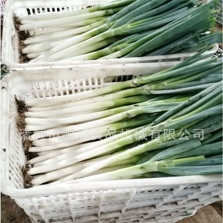 自动气动感应葱皮剥离机