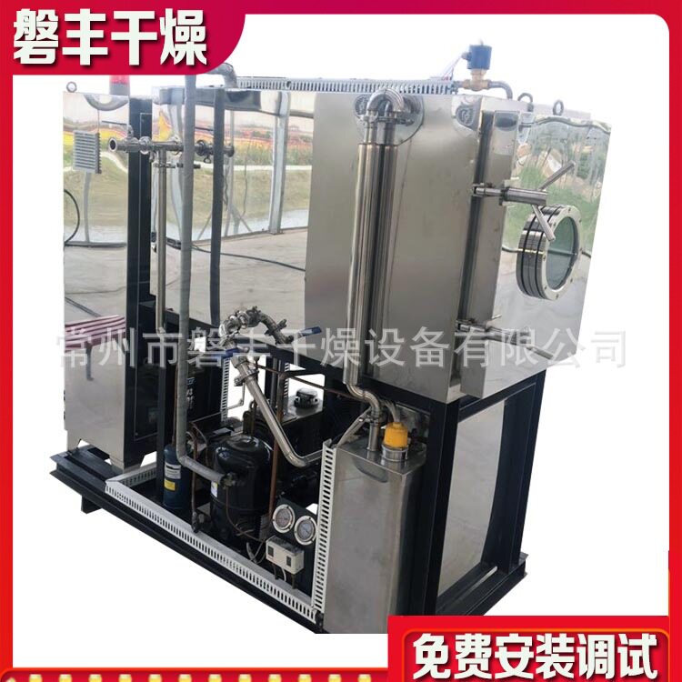 冻干机 鱼肉真空冻干机 牛肉粒低温真空冷冻干燥机 磐丰厂家