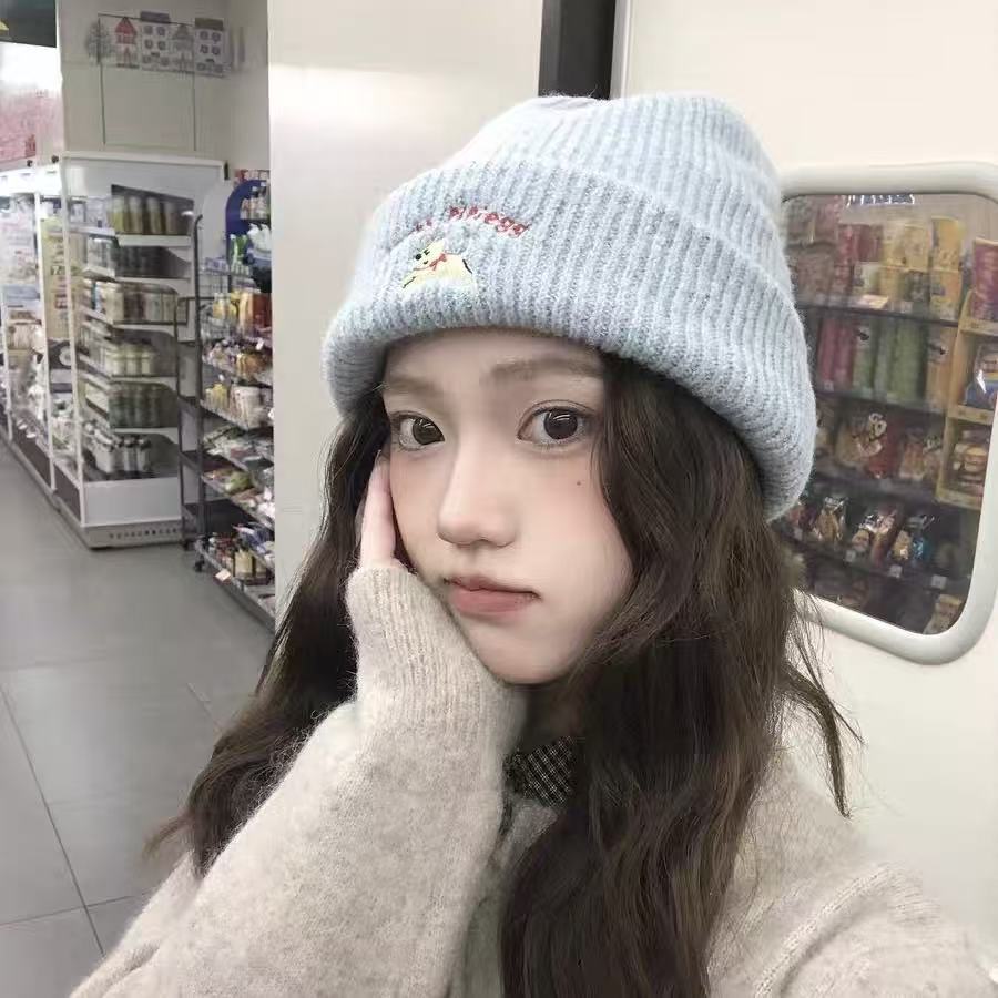 可爱刺绣针织时尚显脸小保暖护耳毛线帽秋冬季百搭冷帽潮