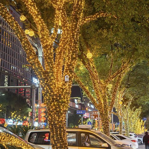 户外防水彩灯串灯满天星庭院花园装饰灯串街道露营氛围挂树灯闪灯