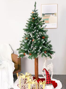 1.c8m果喷白杆圣诞树木SYCT102圣诞松节装饰品自动树摆件