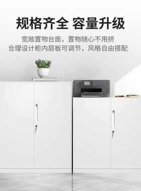 办公室件柜文矮柜铁柜落地SH202305资料档案抽屉皮柜带锁储物工具