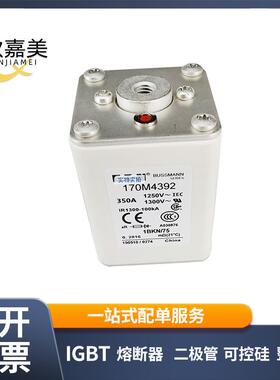 170M4392 170M4393 快速熔断器 电子元器件 库存充足 量大价优