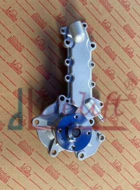 叉车配件 各类叉车水泵 V2403 水泵 1E14173033 水泵现货 Delift