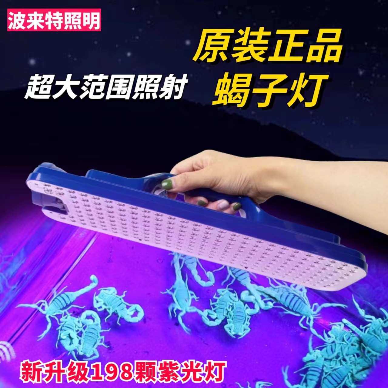 波来特蝎子灯大平板紫光灯照蝎灯豆丹豆虫灯手提灯充电超亮长续航