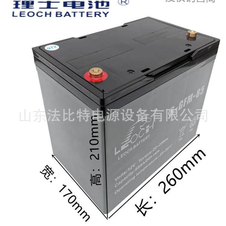 理士动力蓄电池6-GFM-85免维护12V85Ah电动叉车适用 质保一年