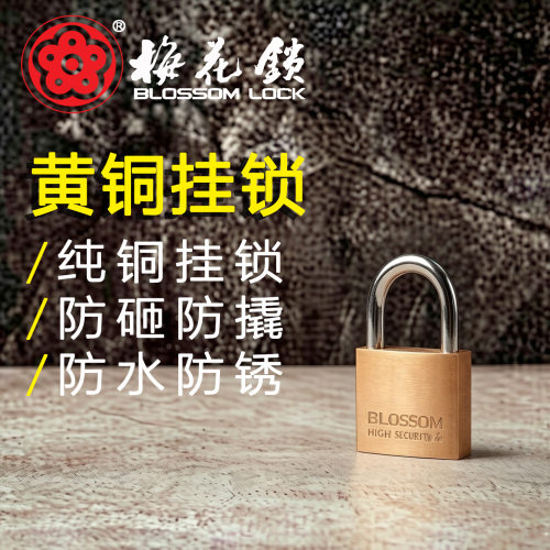 梅花弧形中型铜芯挂锁全铜锁身锁抽屉柜门工具箱宿舍通开35mm