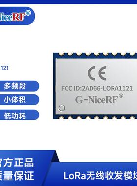 CE/FCC LR1121方案开发 sub-GHz 2.4GHz卫星频段射频模块LoRa1121