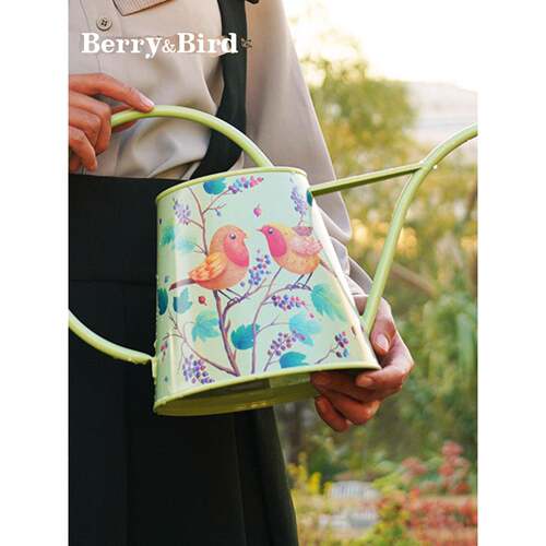 长嘴颜值浇水壶｜现货｜Berry&Bird知更鸟款园艺工具金属洒水壶