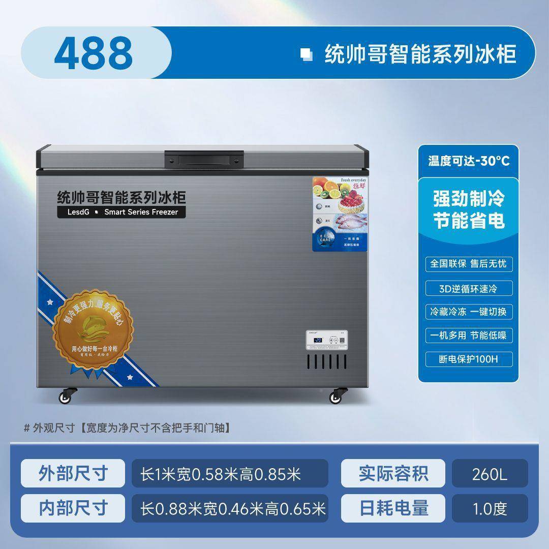 冻统帅哥智248能系列商冰柜冷柜冷用柜冰箱温冷藏单雪柜冷冻柜