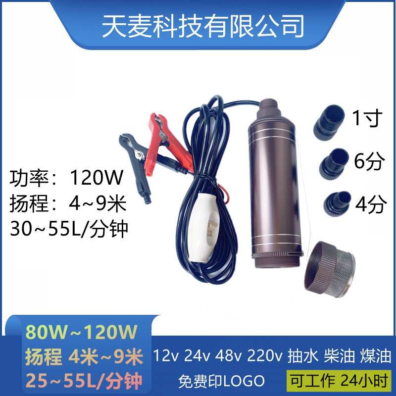 120W电动车抽水机车载小型12伏水泵24v电瓶直流潜水泵12v抽水泵